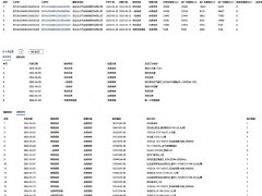 BYD DM-p Edition - фото 18