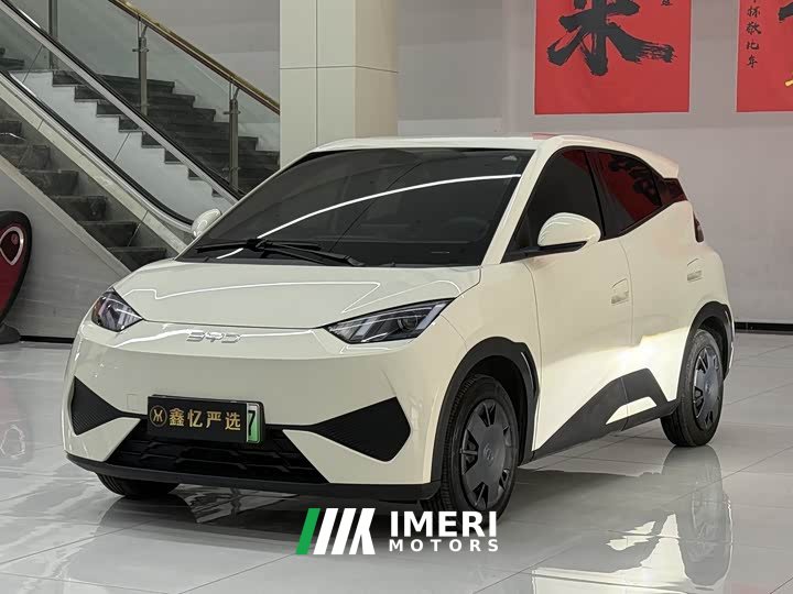 BYD Smart Drive Edition 305km Edition - автомобиль из Китая