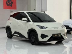 BYD Smart Drive Edition 305km Edition - фото 3