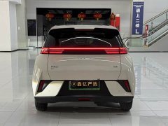 BYD Smart Drive Edition 305km Edition - фото 5