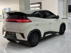 BYD Smart Drive Edition 305km Edition - фото 6