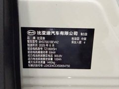 BYD Smart Drive Edition 305km Edition - фото 8