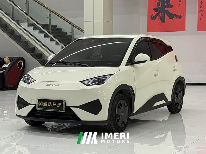BYD Smart Drive Edition 305km Edition - автомобиль из Китая