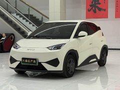 BYD Smart Drive Edition 305km Edition - фото 1