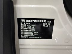 BYD Smart Drive Edition 305km Edition - фото 13