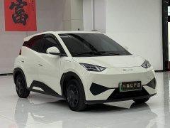 BYD Smart Drive Edition 305km Edition - фото 3