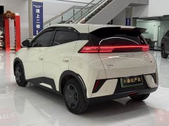 BYD Smart Drive Edition 305km Edition - фото 4