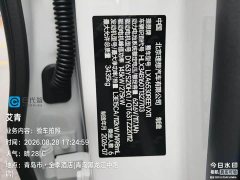 Li Auto L9 Ultra - фото 9
