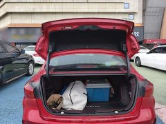 Changan PLUS NE 1.4T GDI DCTPremium Version - фото 19