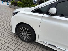 GAC Trumpchi M8 Master Edition 390T Supreme - фото 3