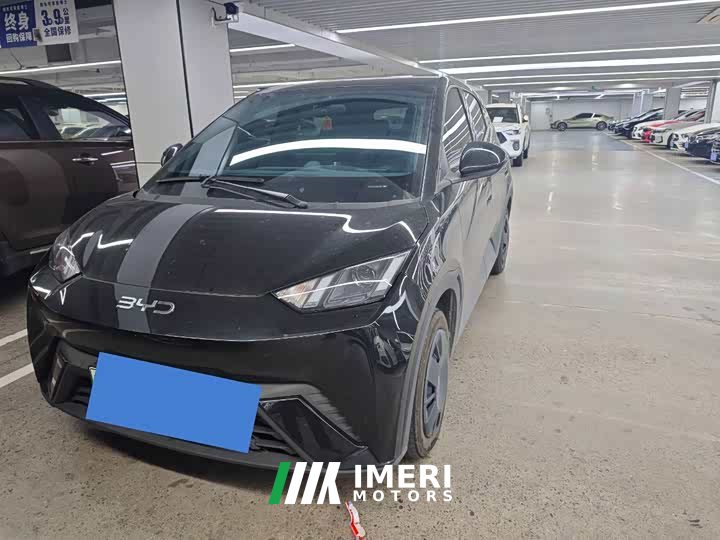 BYD 305km Edition
