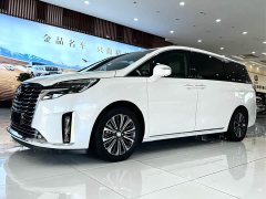 Buick GL8 ES Luxury Version - фото 2