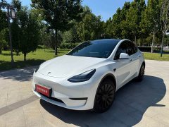 Tesla Model Y Edition - фото 1