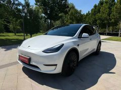 Tesla Model Y Edition - фото 2