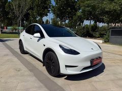 Tesla Model Y Edition - фото 3