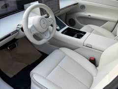 S9T EV Max (192) - фото 6