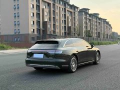 S9T EV Max (192) - фото 7