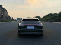 S9T EV Max (192) - фото 8