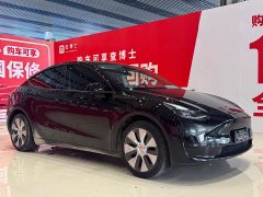 Tesla Model Y Edition - фото 3