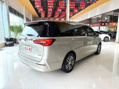 Buick GL8 ES 653T Deluxe Version - фото 7