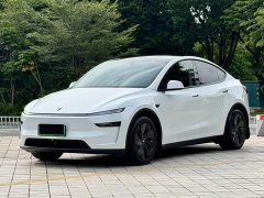 Tesla Model Y Long Range Edition - фото 1