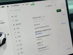 Tesla Model Y Long Range Edition - фото 10