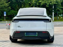 Tesla Model Y Long Range Edition - фото 14