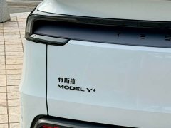 Tesla Model Y Long Range Edition - фото 15