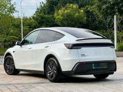 Tesla Model Y Long Range Edition - фото 16