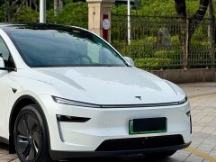 Tesla Model Y Long Range Edition - фото 3