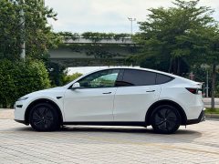 Tesla Model Y Long Range Edition - фото 4