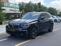 BMW X5 xDrive 40Li Deluxe VersionM - фото 1