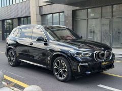 BMW X5 xDrive 40Li Deluxe VersionM - фото 3