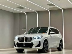 BMW X1 sDrive25Li M - фото 1