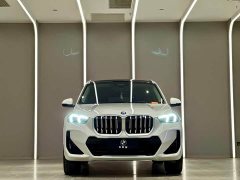 BMW X1 sDrive25Li M - фото 2