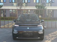 Baojun 460 Max Edition - фото 2