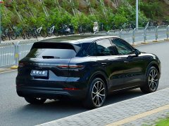 Porsche Cayenne 2023 Cayenne 3.0T Platinum Edition - фото 16