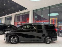 Lexus LM 300h Edition - фото 13