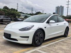 Tesla Model 3 Standard Range Edition 3D1 - фото 1