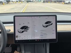 Tesla Model 3 Standard Range Edition 3D1 - фото 12