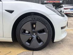 Tesla Model 3 Standard Range Edition 3D1 - фото 17