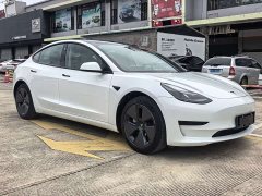 Tesla Model 3 Standard Range Edition 3D1 - фото 3