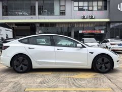 Tesla Model 3 Standard Range Edition 3D1 - фото 4