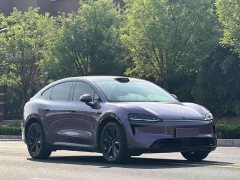 R7 EV Max(192) - фото 3