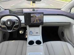 R7 EV Max(192) - фото 5