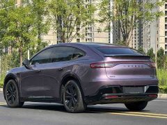 R7 EV Max(192) - фото 7