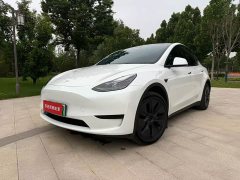 Tesla Model Y Edition - фото 1