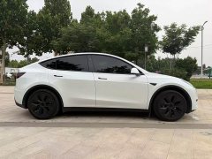 Tesla Model Y Edition - фото 3