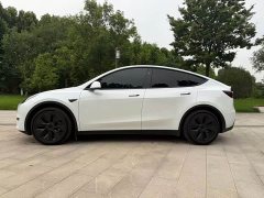 Tesla Model Y Edition - фото 4