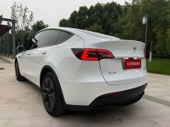 Tesla Model Y Edition - фото 7